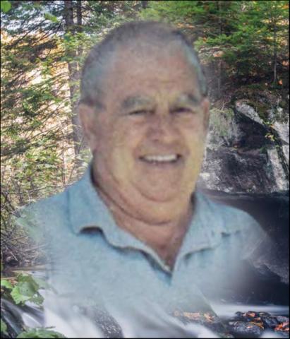 Denis Houle