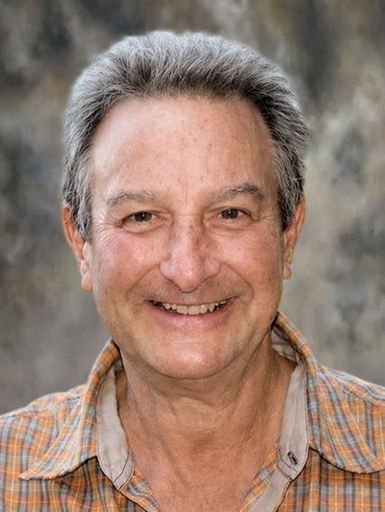 Michel Vallée